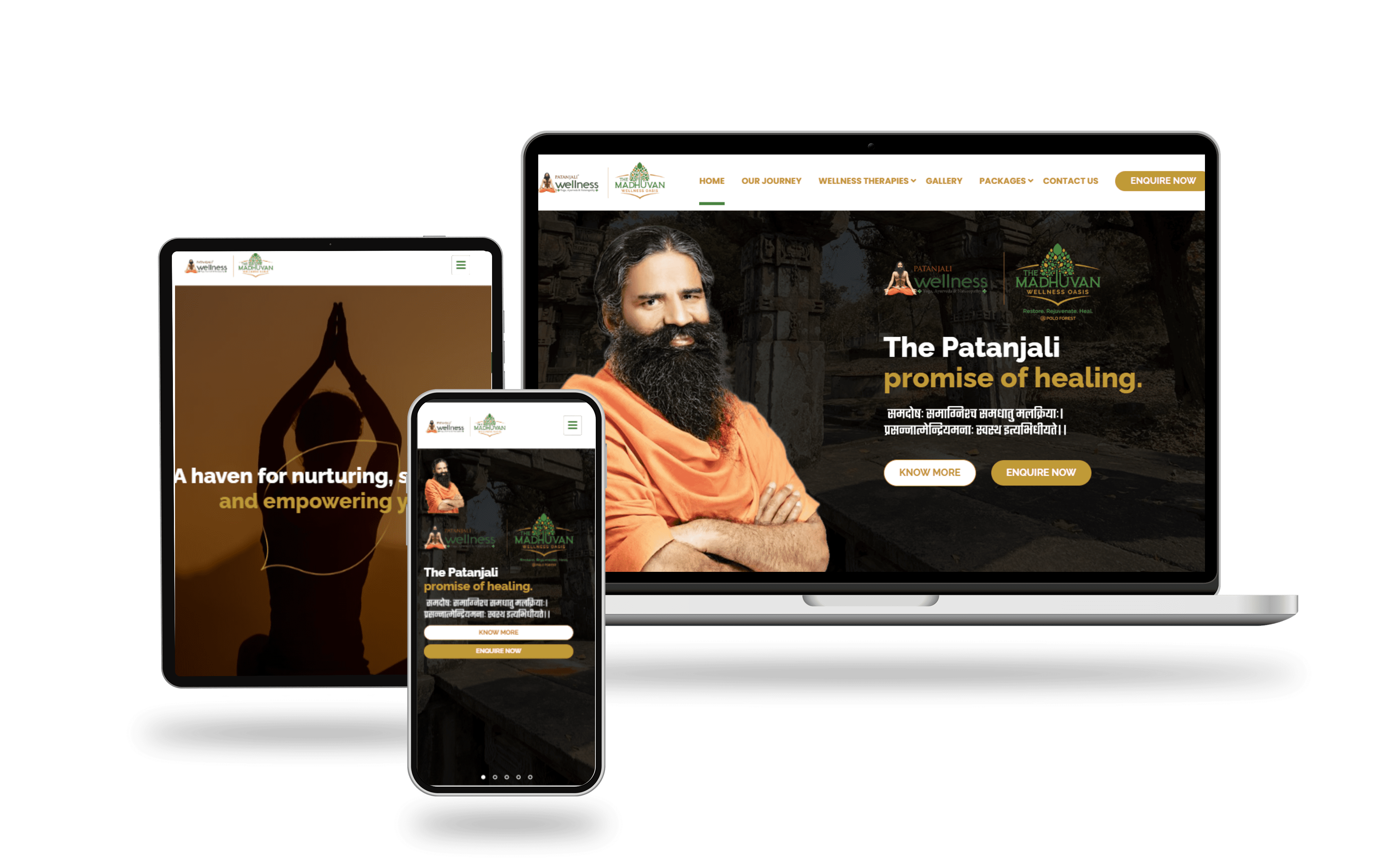 Madhuvan-Patanjali Wellness